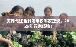 芜湖弋江全封闭学校哪家正规，2025年行家经验！