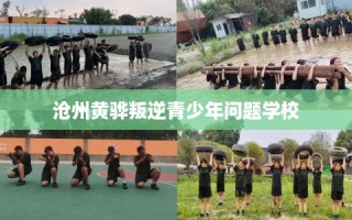 沧州黄骅叛逆青少年问题学校