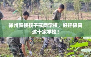 徐州鼓楼孩子戒网学校，好评极高这十家学校！