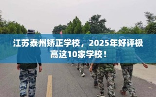 江苏泰州矫正学校，2025年好评极高这10家学校！