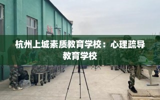 杭州上城素质教育学校：心理疏导教育学校