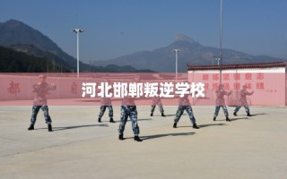 河北邯郸叛逆学校