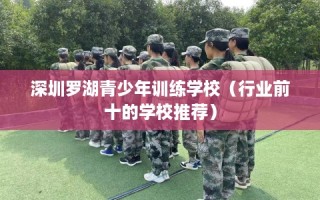 深圳罗湖青少年训练学校（行业前十的学校推荐）
