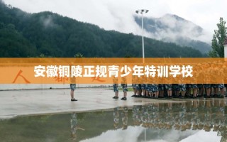 安徽铜陵正规青少年特训学校