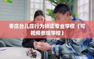 枣庄台儿庄行为矫正专业学校（可视频参观学校）