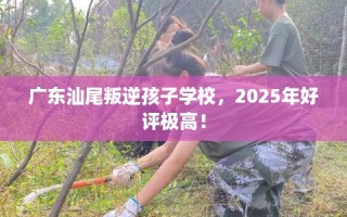 广东汕尾叛逆孩子学校，2025年好评极高！