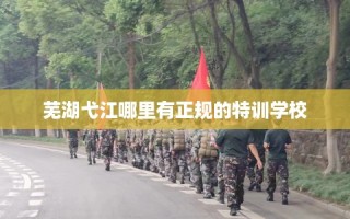 芜湖弋江哪里有正规的特训学校