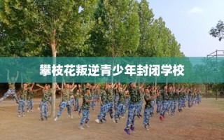 攀枝花叛逆青少年封闭学校