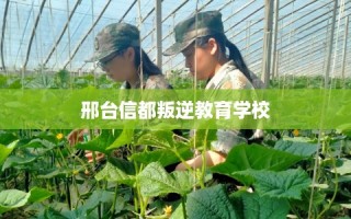邢台信都叛逆教育学校