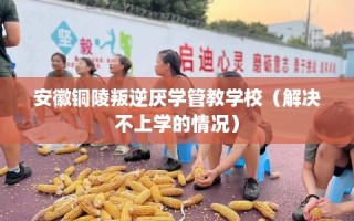 安徽铜陵叛逆厌学管教学校（解决不上学的情况）