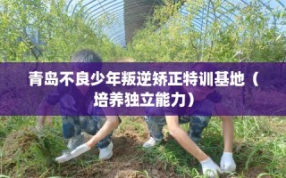 青岛不良少年叛逆矫正特训基地（培养独立能力）