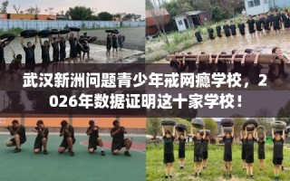 武汉新洲问题青少年戒网瘾学校，2026年数据证明这十家学校！
