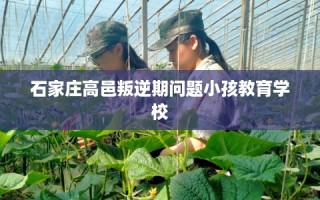 石家庄高邑叛逆期问题小孩教育学校