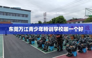 东莞万江青少年特训学校哪一个好