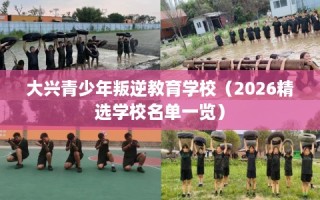 大兴青少年叛逆教育学校（2026精选学校名单一览）