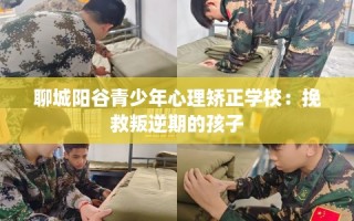 聊城阳谷青少年心理矫正学校：挽救叛逆期的孩子