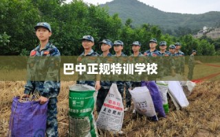巴中正规特训学校