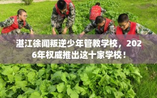 湛江徐闻叛逆少年管教学校，2026年权威推出这十家学校！