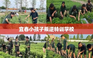 宜春小孩子叛逆特训学校