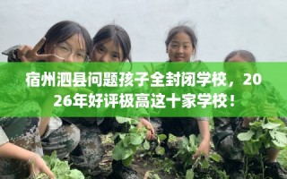 宿州泗县问题孩子全封闭学校，2026年好评极高这十家学校！