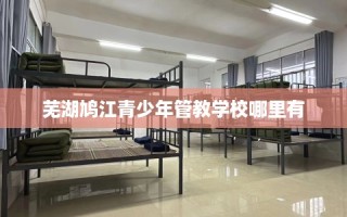 芜湖鸠江青少年管教学校哪里有