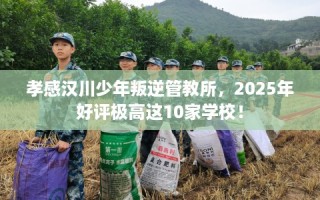 孝感汉川少年叛逆管教所，2025年好评极高这10家学校！