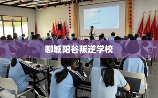 聊城阳谷叛逆学校