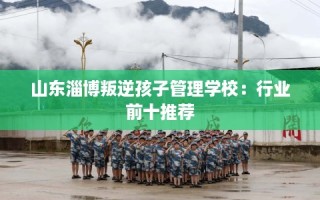 山东淄博叛逆孩子管理学校：行业前十推荐