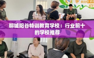 聊城阳谷特训教育学校：行业前十的学校推荐