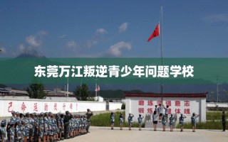 东莞万江叛逆青少年问题学校