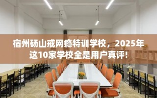 宿州砀山戒网瘾特训学校，2025年这10家学校全是用户真评!