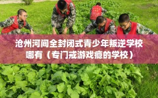 沧州河间全封闭式青少年叛逆学校哪有（专门戒游戏瘾的学校）