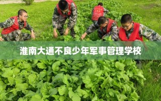 淮南大通不良少年军事管理学校