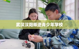 武汉汉阳叛逆青少年学校