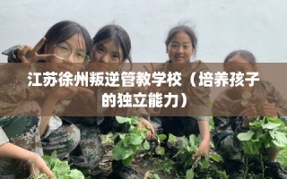 江苏徐州叛逆管教学校（培养孩子的独立能力）