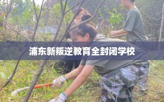 浦东新叛逆教育全封闭学校