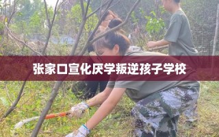 张家口宣化厌学叛逆孩子学校