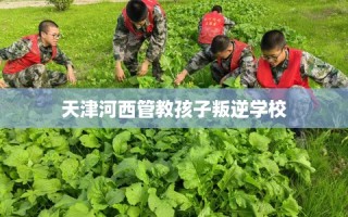 天津河西管教孩子叛逆学校