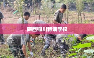 陕西铜川特训学校