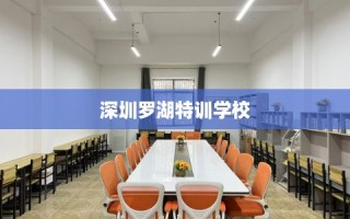 深圳罗湖特训学校