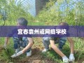 宜春袁州戒网瘾学校