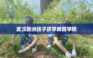 武汉新洲孩子厌学教育学校