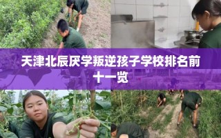 天津北辰厌学叛逆孩子学校排名前十一览