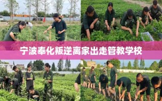 宁波奉化叛逆离家出走管教学校