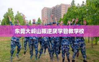 东莞大岭山叛逆厌学管教学校