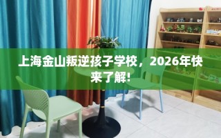 上海金山叛逆孩子学校，2026年快来了解!