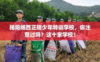 揭阳揭西正规少年特训学校，你注意过吗？这十家学校！