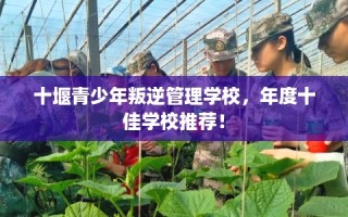 十堰青少年叛逆管理学校，年度十佳学校推荐！