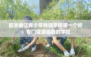 韶关曲江青少年特训学校哪一个好：专门戒游戏瘾的学校