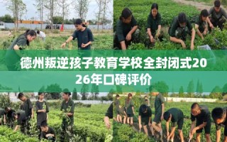 德州叛逆孩子教育学校全封闭式2026年口碑评价